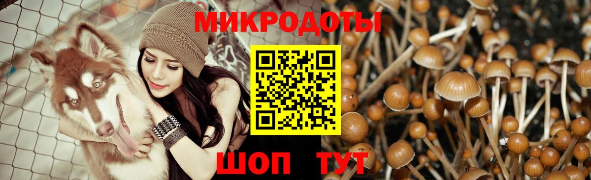 Псилоцибиновые грибы мухоморы  Галлюциногенные грибы Psilocybine cubensis  Вход с VPN  где купить наркоту  Конаково 